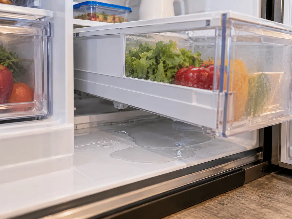 Water collected beneath the crisper drawers inside a refrigerator